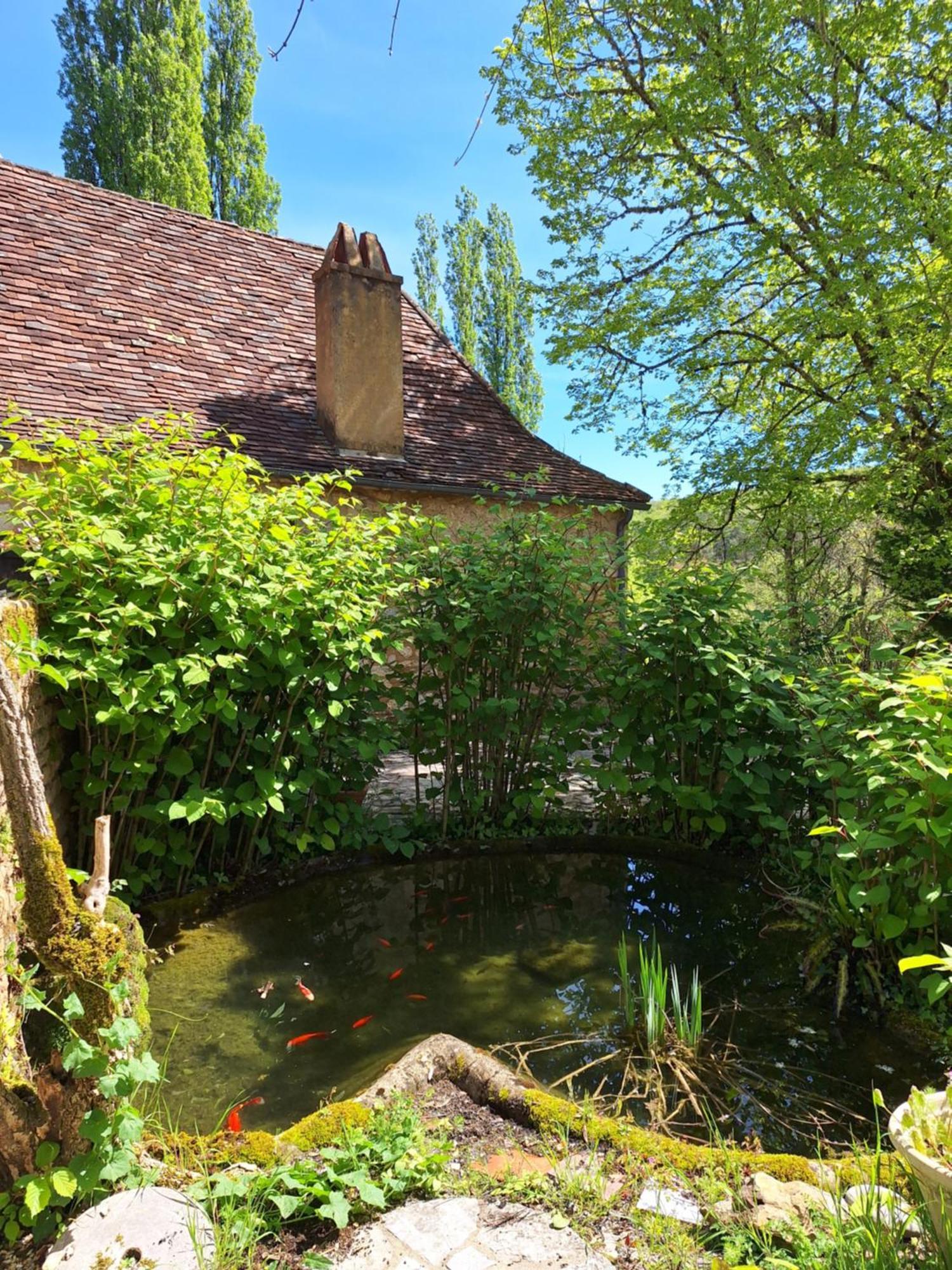 Hostel La Ferme Du Soleillal - Adult Only Campagne  Zewnętrze zdjęcie